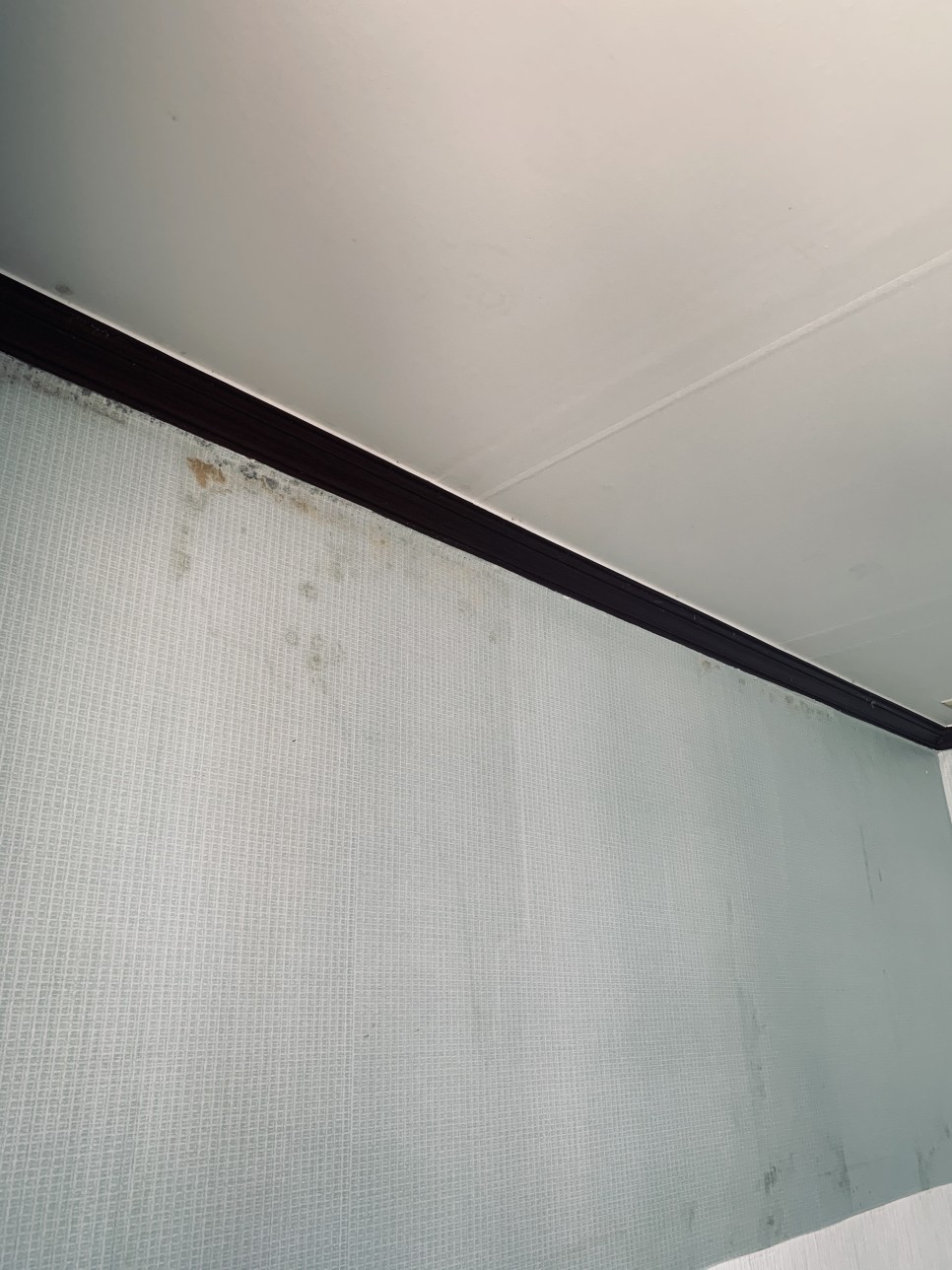 벽지곰팡이 제거 24