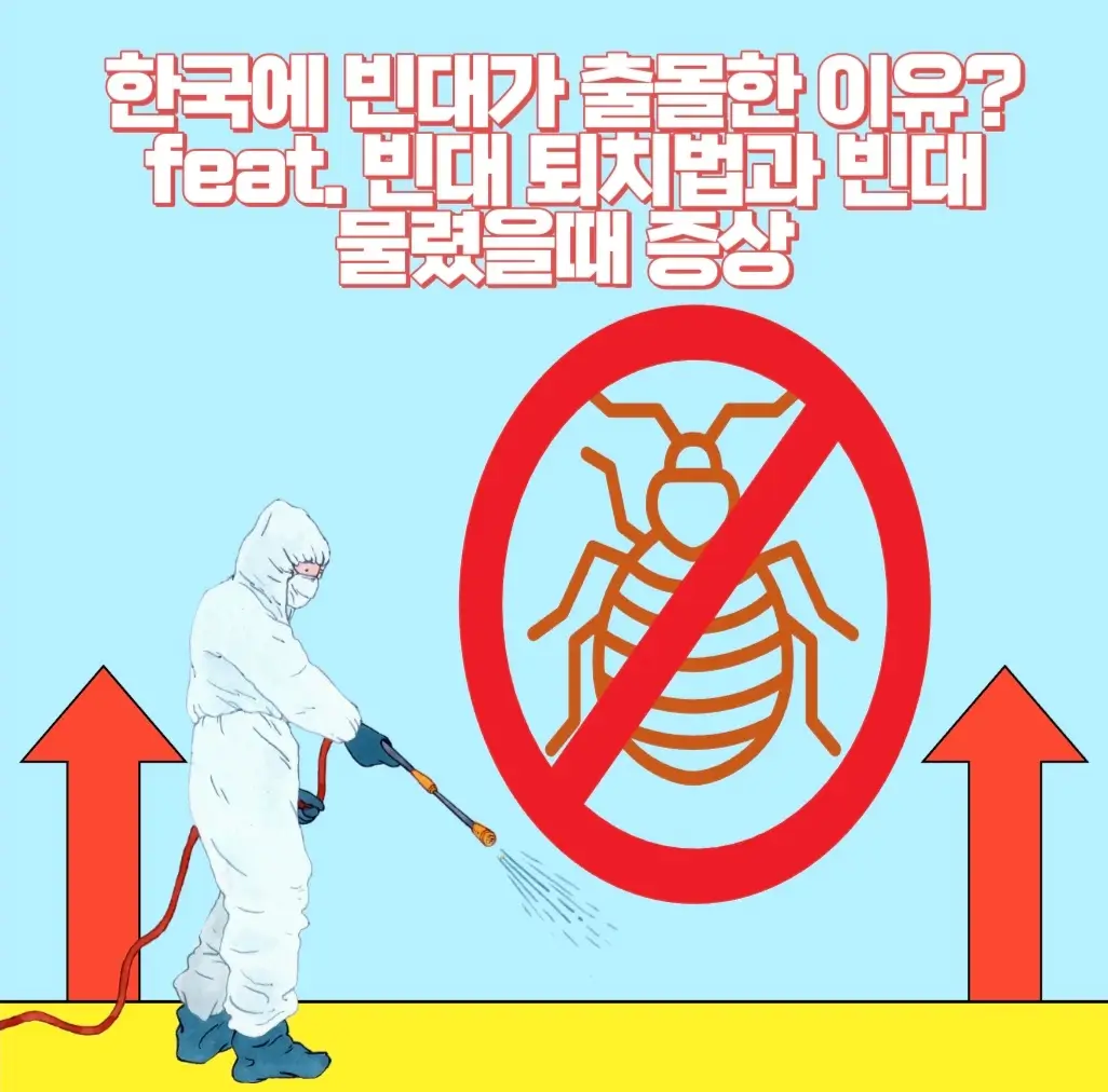  한국에 빈대가 왜 출몰하게된 것일까?빈대 출몰의 원인?feat.빈대 퇴치방법과 대처법? 빈대물렸을때 증상