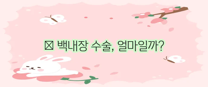 백내장 수술 비용 궁금증 해결하기