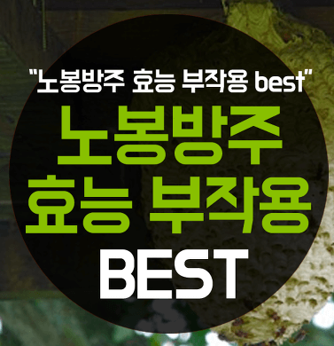  노봉방주 효능과 부작용[총정리]