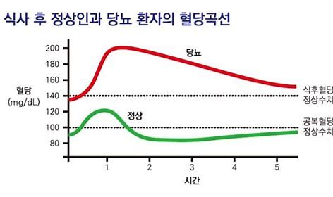 아침 공복 혈당과 식후 혈당 차이 : 인슐린 민감도
