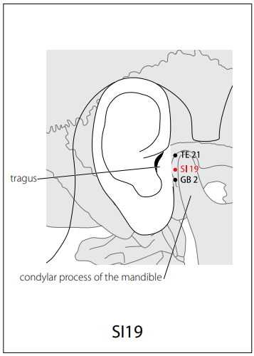 수태양소장경(SI) > SI19 청궁 (聽宮) 1