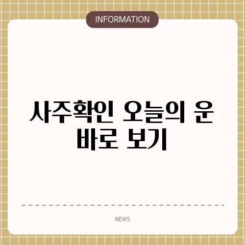 사주확인 오늘의 운 바로 보기