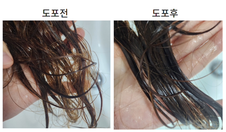 트리트먼트도포전후