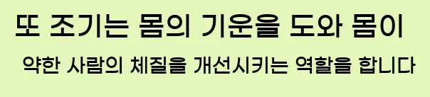  또 조기는 몸의 기운을 도와 몸이 약한 사람의 체질을 개선시키는 역할을 합니다