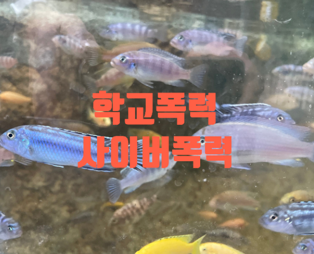  학교폭력과 사이버폭력(성인)