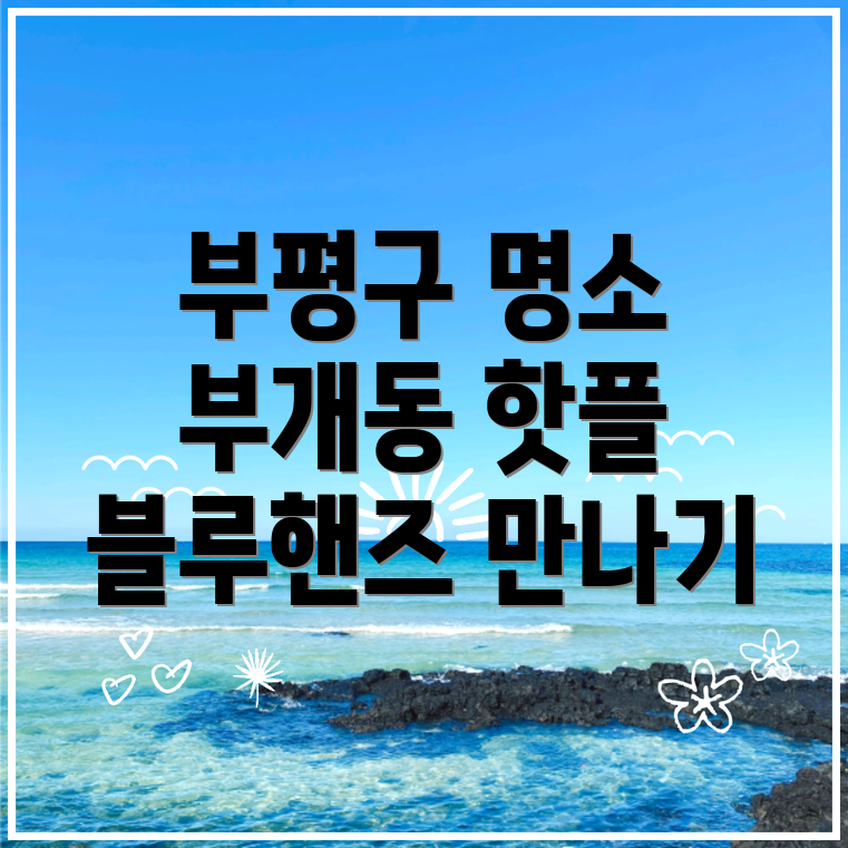 블루핸즈 가격