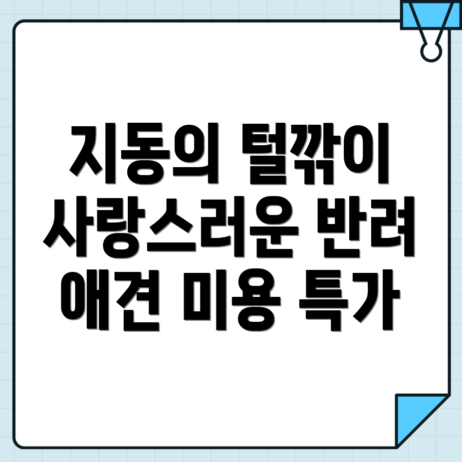 수원 애견미용
