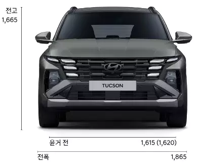 더 뉴 투싼 전면