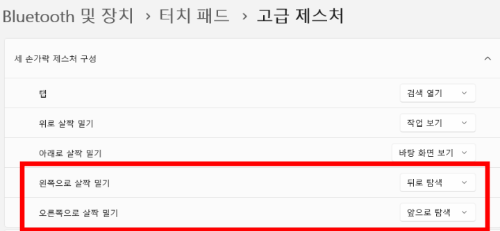 터치패드>고급제스처설정