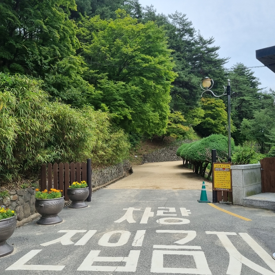 도산서원 가는길
