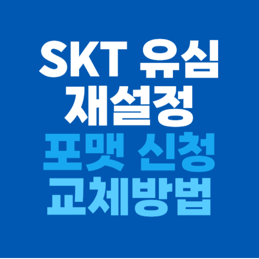 SKT 유심 재설정 및 포맷 신청 교체방법