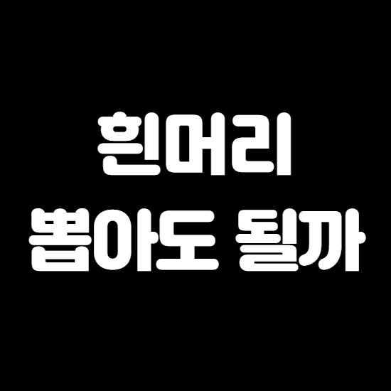  흰머리 뽑으면 안되는 이유 3가지