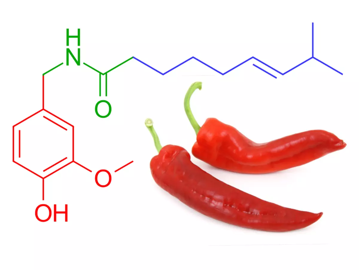 캡사이신(Capsaicin)
