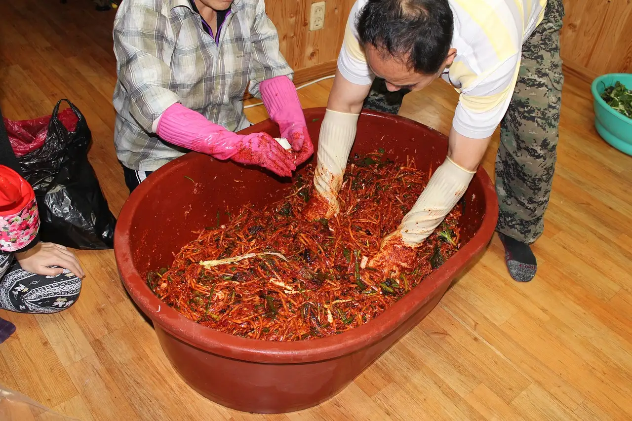 강원도 고랭지 절임배추 가격 비교 예약 20kg