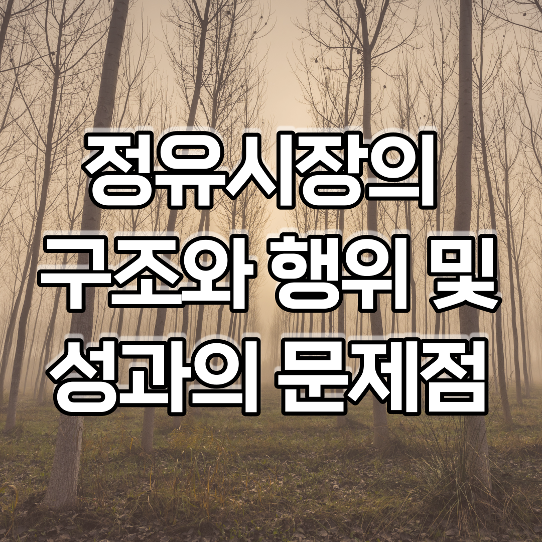  정유시장의 구조와 행위 및 성과의 문제점