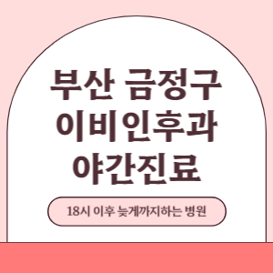 부산 금정구 야간진료 이비인후과 병원 (18시 이후 늦게까지하는 병원)