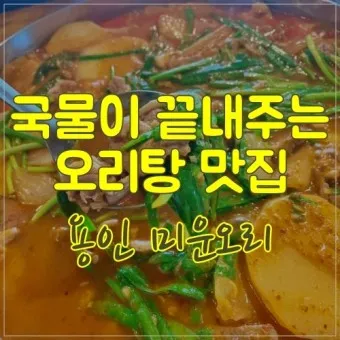 용인 맛집 베스트10 현지인 숨겨진 맛집_8