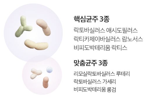 셀티아이맘 유산균