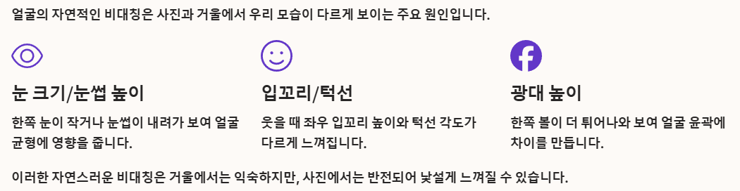 비대칭 얼굴이 인식에 미치는 영향 예시