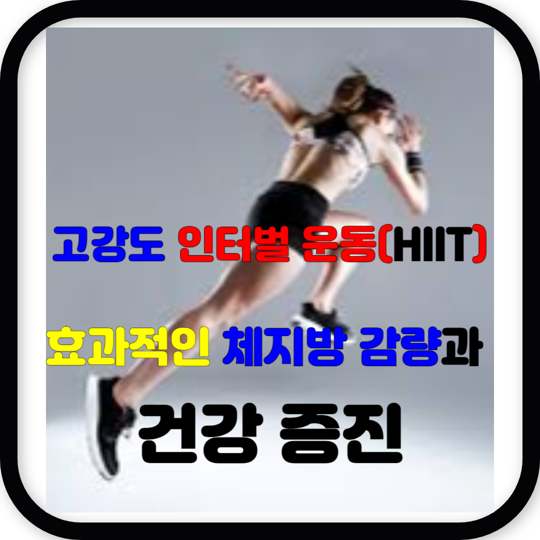 효과적인 체지방 감량과 건강 증진