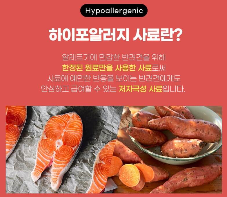 닥터소프트 하이포알러지 연어