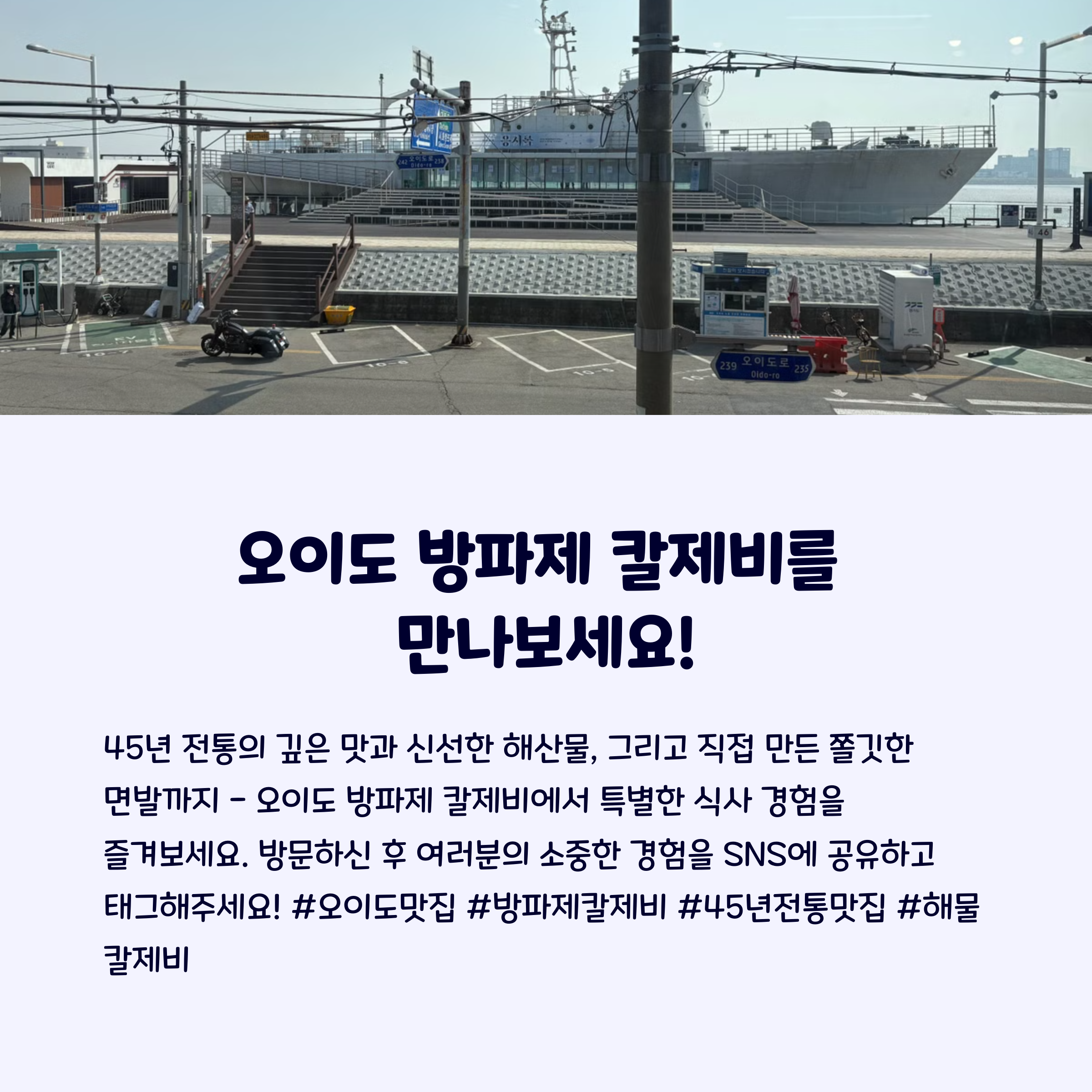 바다면발 이미지