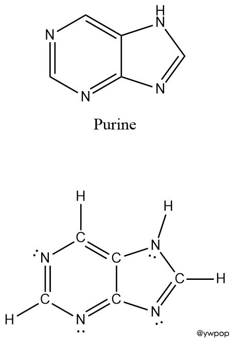 Lewis structure of purine C5H4N4 퓨린의 루이스 구조