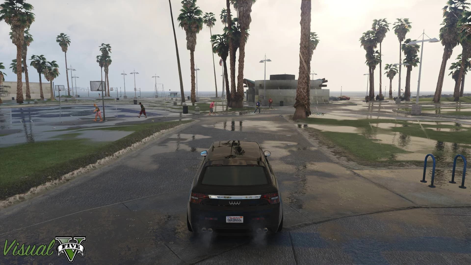 GTA5 모드 VisualV