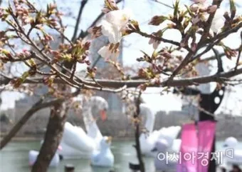 한식에 죽으나 청명에 죽으나 뜻 설명 유래_8