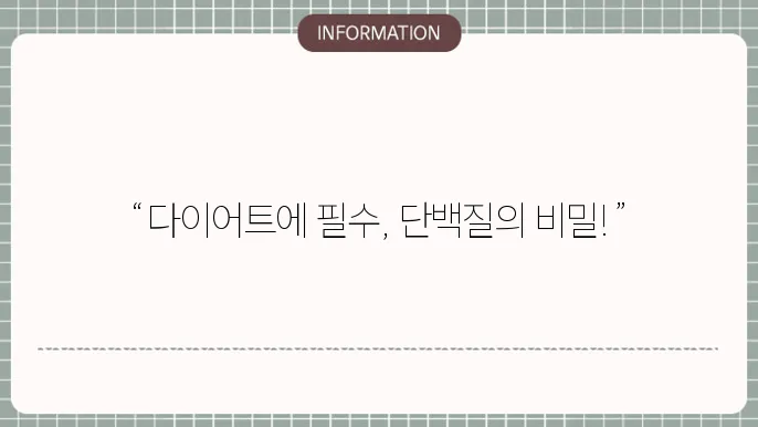 다이어트 단백질