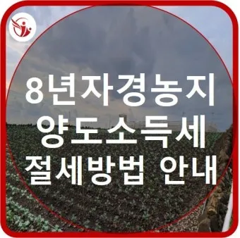 농지 양도소득세율 세율표_6