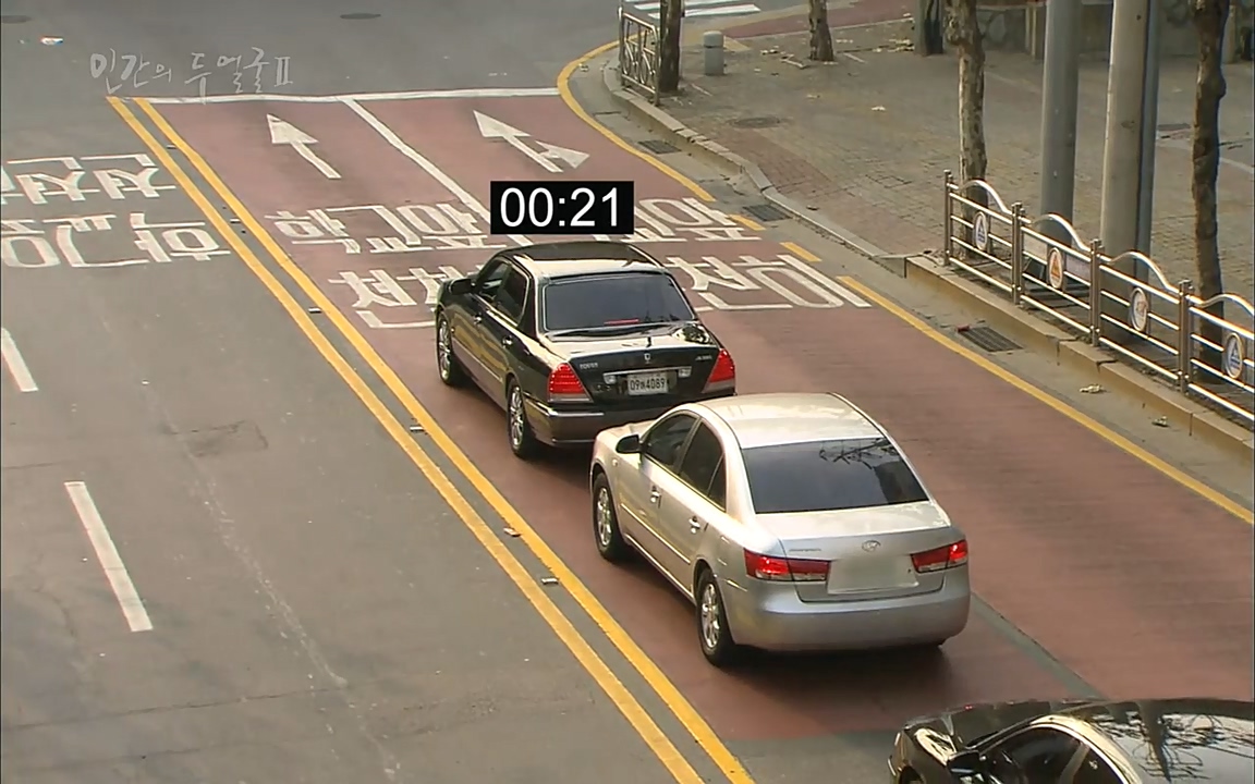 EBS 다큐프라임 - Docuprime, 인간의 두 얼굴2 제2부 아름다운 세상.mp4_20220608_205328.005.jpg