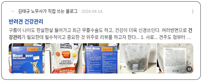 반려견 건강 관리_2_subsection