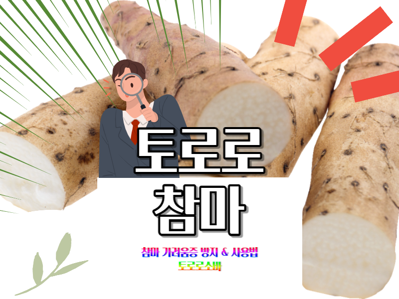  참마 가려움증 방지 & 토로로 사용법