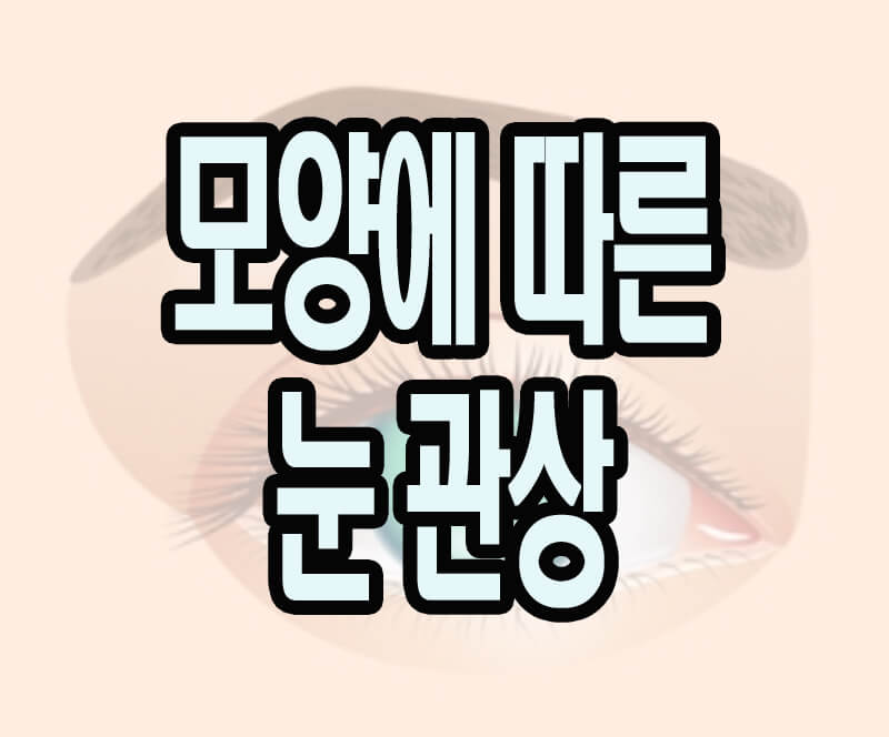 눈 관상 테스트