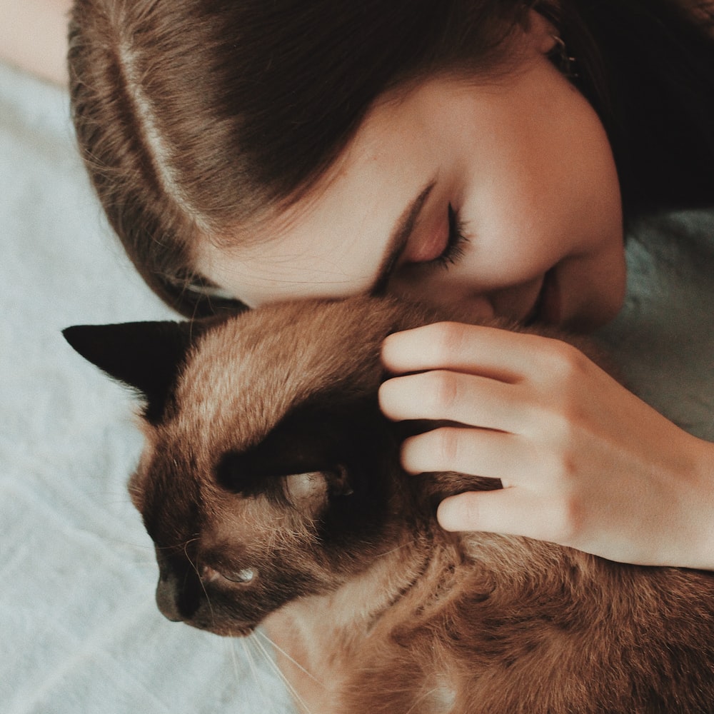 고양이 꿈해몽 태몽 34가지