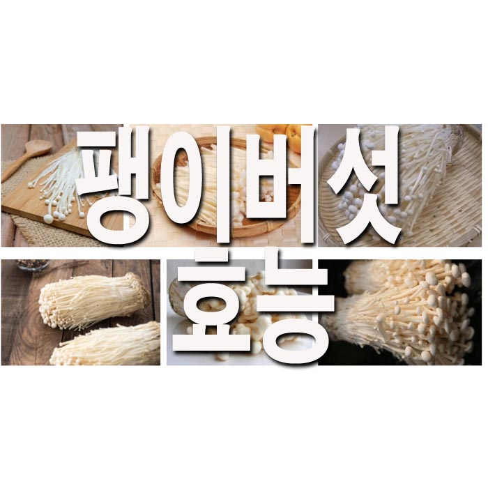  팽이버섯 효능