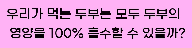  4. 우리가 먹는 두부는 모두 두부의 영양을 100% 흡수할 수 있을까?