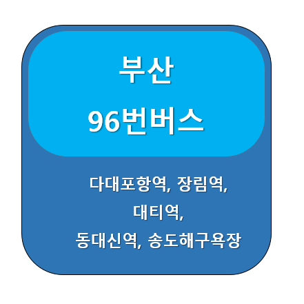 부산96번버스 썸네일