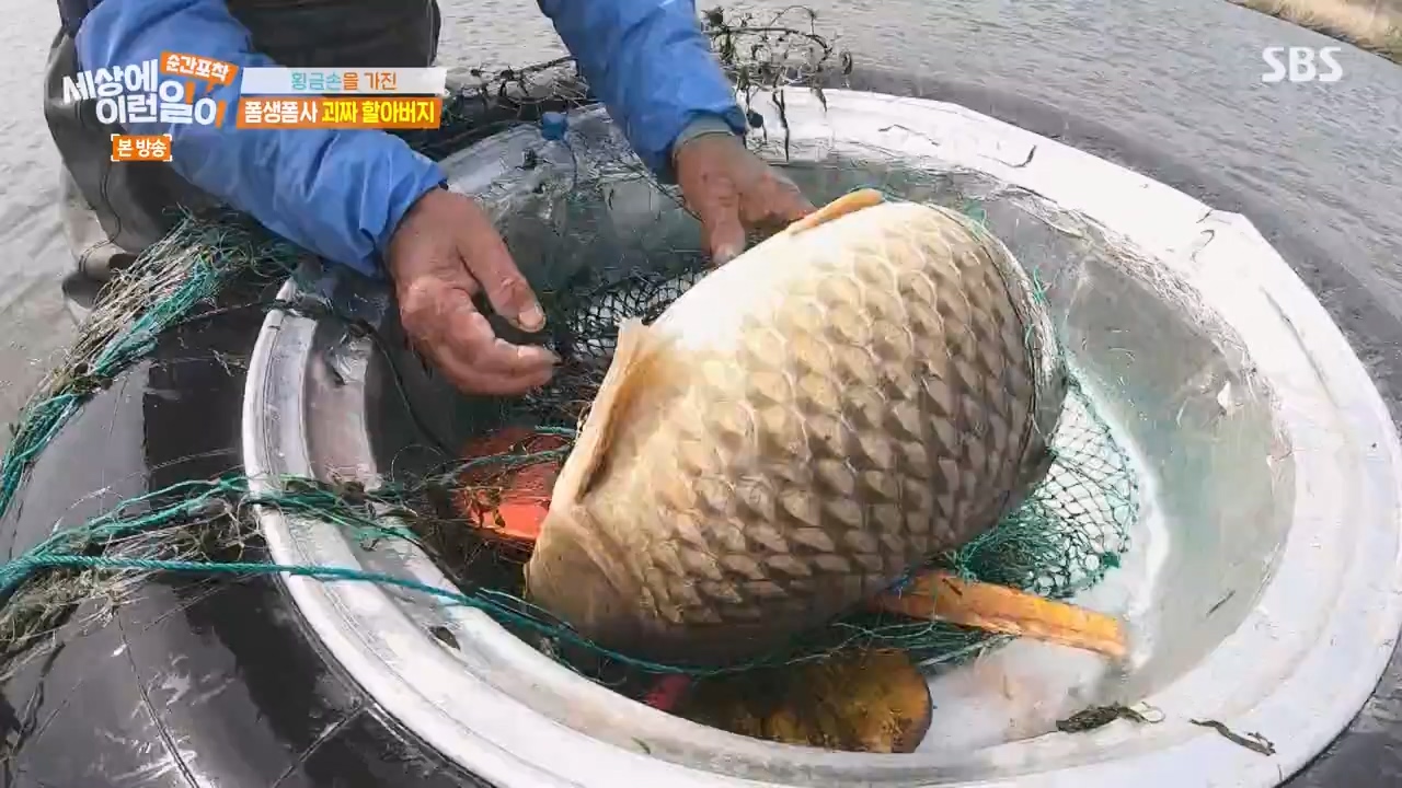 순간포착 세상에 이런일이.E1276.240505p-NEXT.mp4_20240505_151211.771.jpg