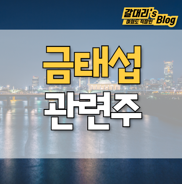  금태섭 관련주 테마주
