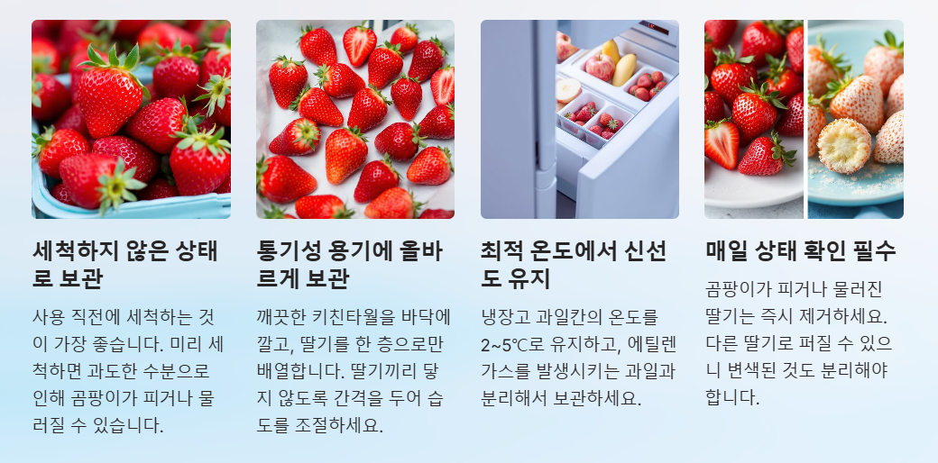 딸기 냉장 보관법