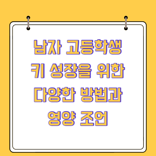 남자 고등학생의 키 성장을 위한 다양한 방법과 영양 조언