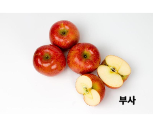 부사사과