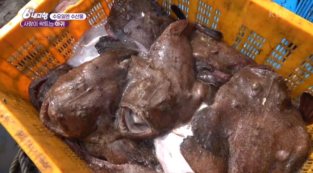  6시내고향 수요일엔 수산물 사랑이 싹트는 아귀 아귀요리