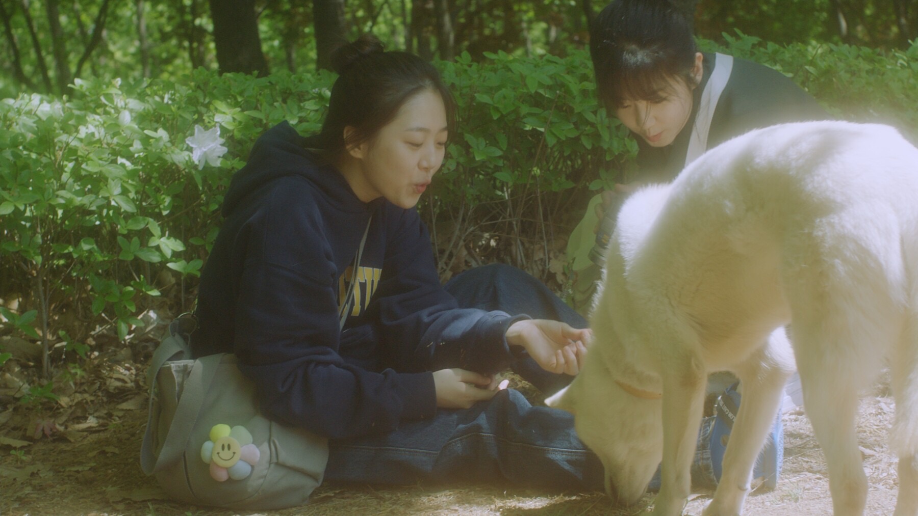 378 이미지