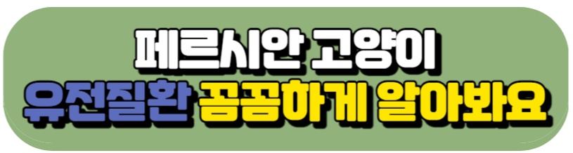 페르시안 고양이 유전병