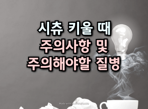  시츄를 키울 때 주의사항 및 주의해야 하는 질병