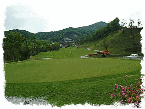  용인CC 골프 코스 소개 및 공략법
